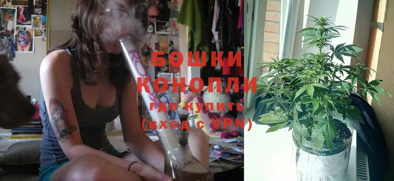 Бошки Шишки Ganja  где купить наркоту  Сосновка 